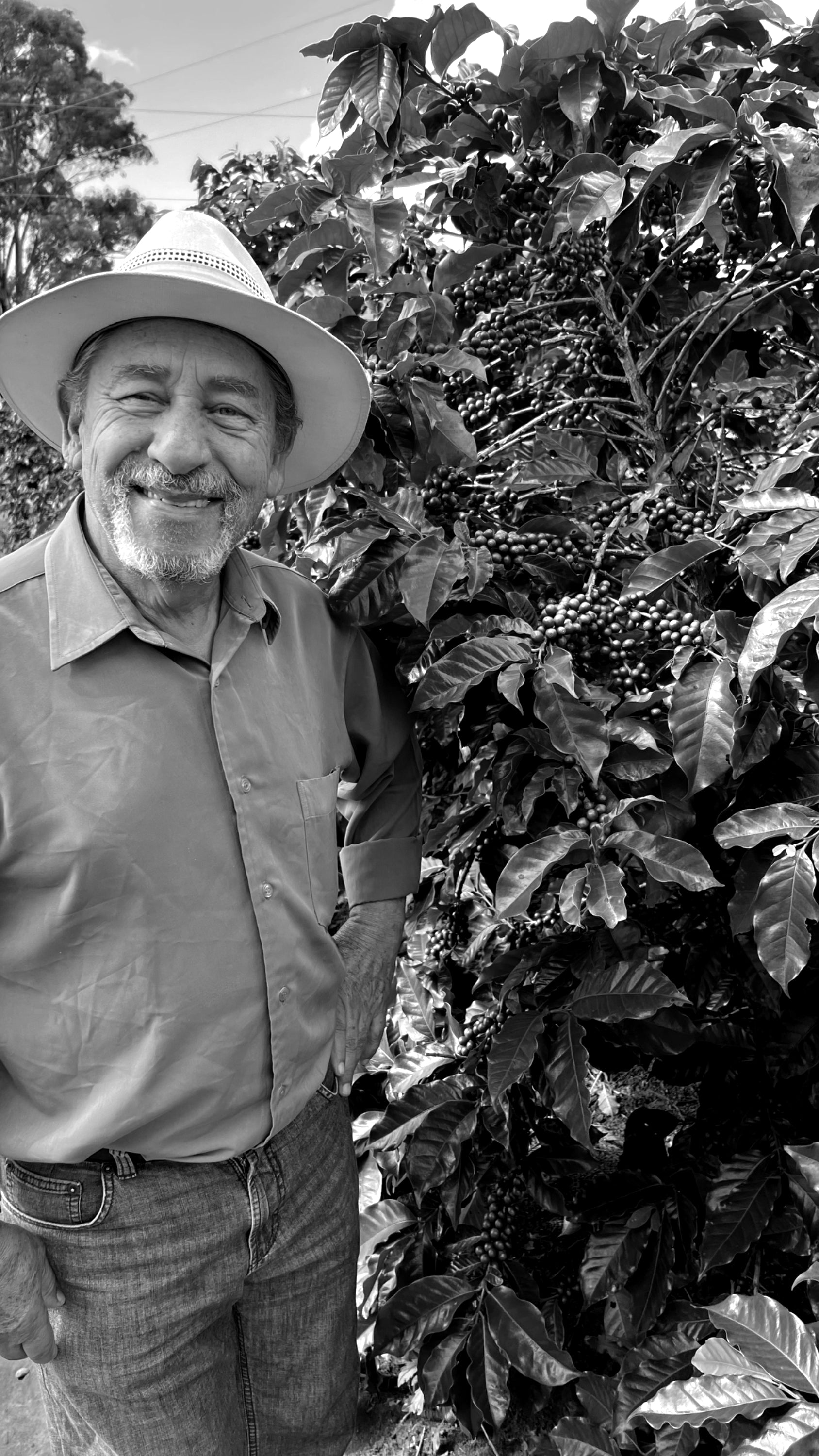 Jose Maria Oliveira Beside a Coffee Tree