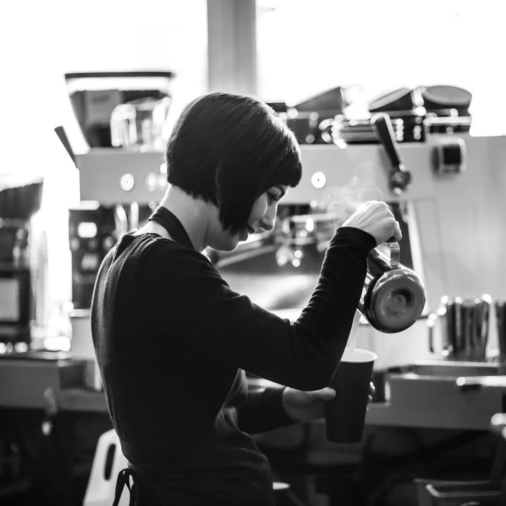 ASCASO Barista T Plus Espresso Machine (120V) - Uai Coffee