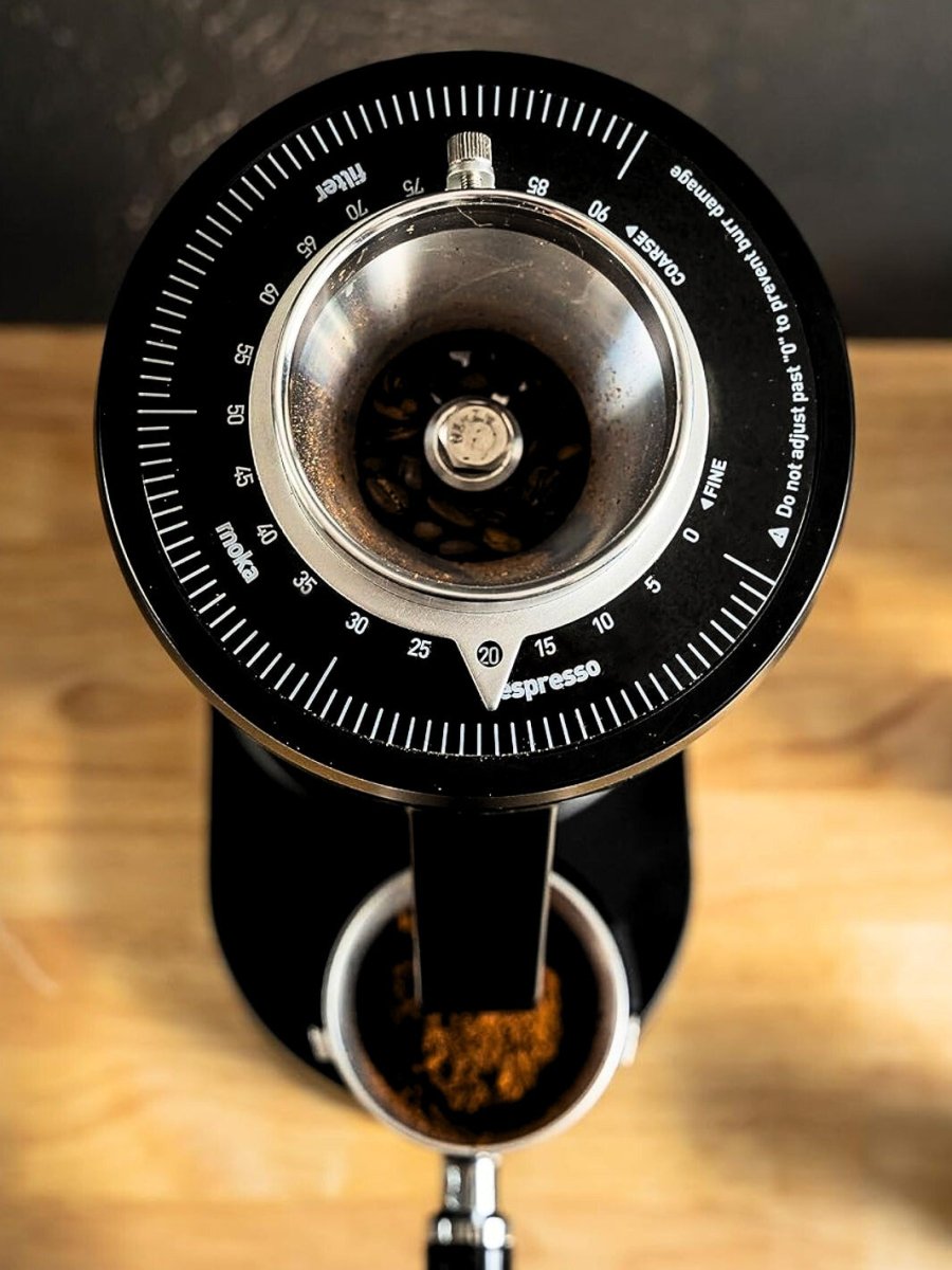 DF GRINDERS DF83 All - Purpose Coffee Grinder (V3) (120V) - Uai Coffee