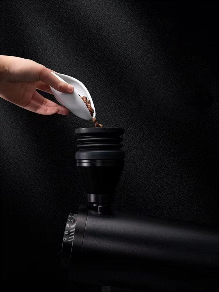 DF GRINDERS DF83V Espresso Coffee Grinder (120V) - Uai Coffee