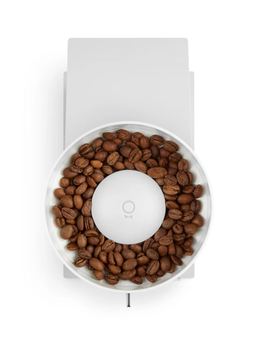 FELLOW Opus All - Purpose Grinder (120V) - Uai Coffee