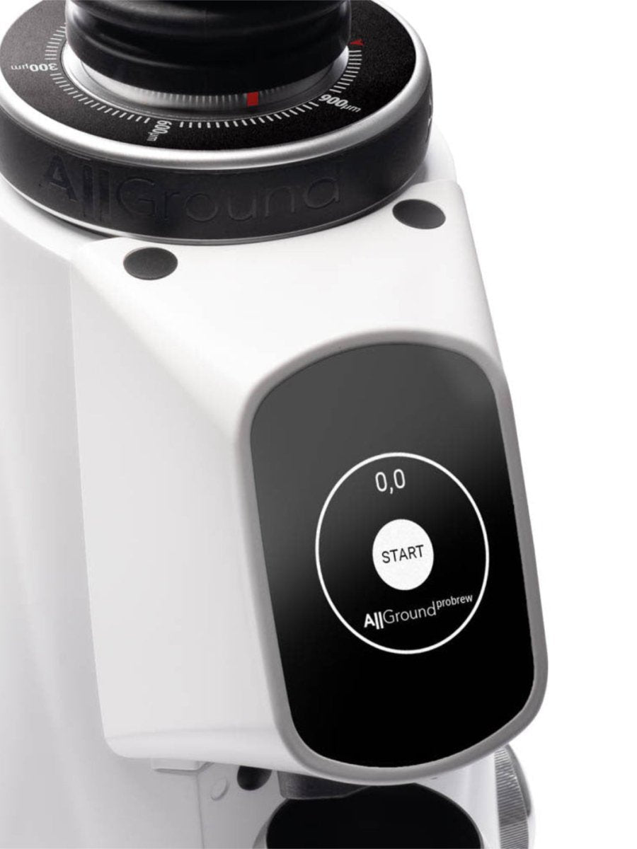 FIORENZATO AllGround ProBrew Coffee Grinder (120V) - Uai Coffee