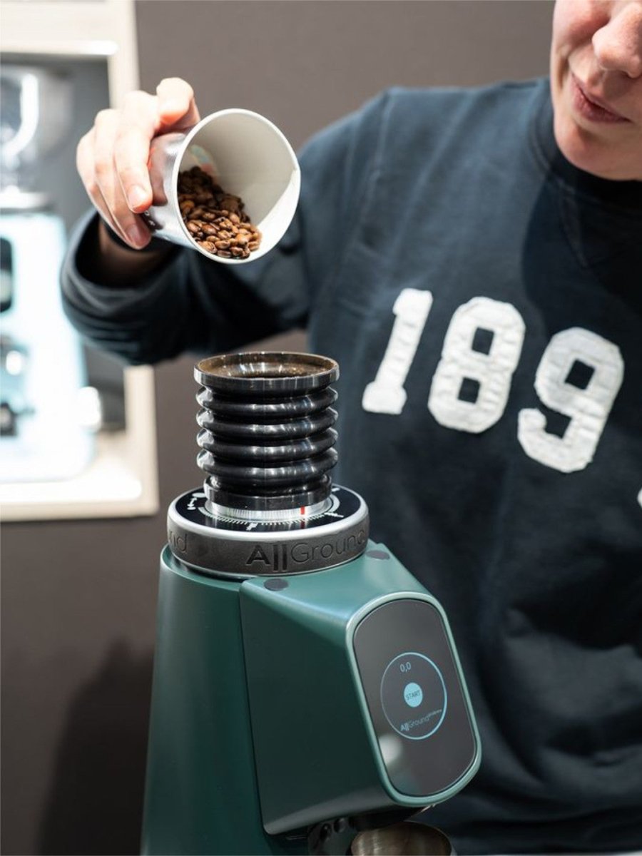 FIORENZATO AllGround ProBrew Coffee Grinder (120V) - Uai Coffee