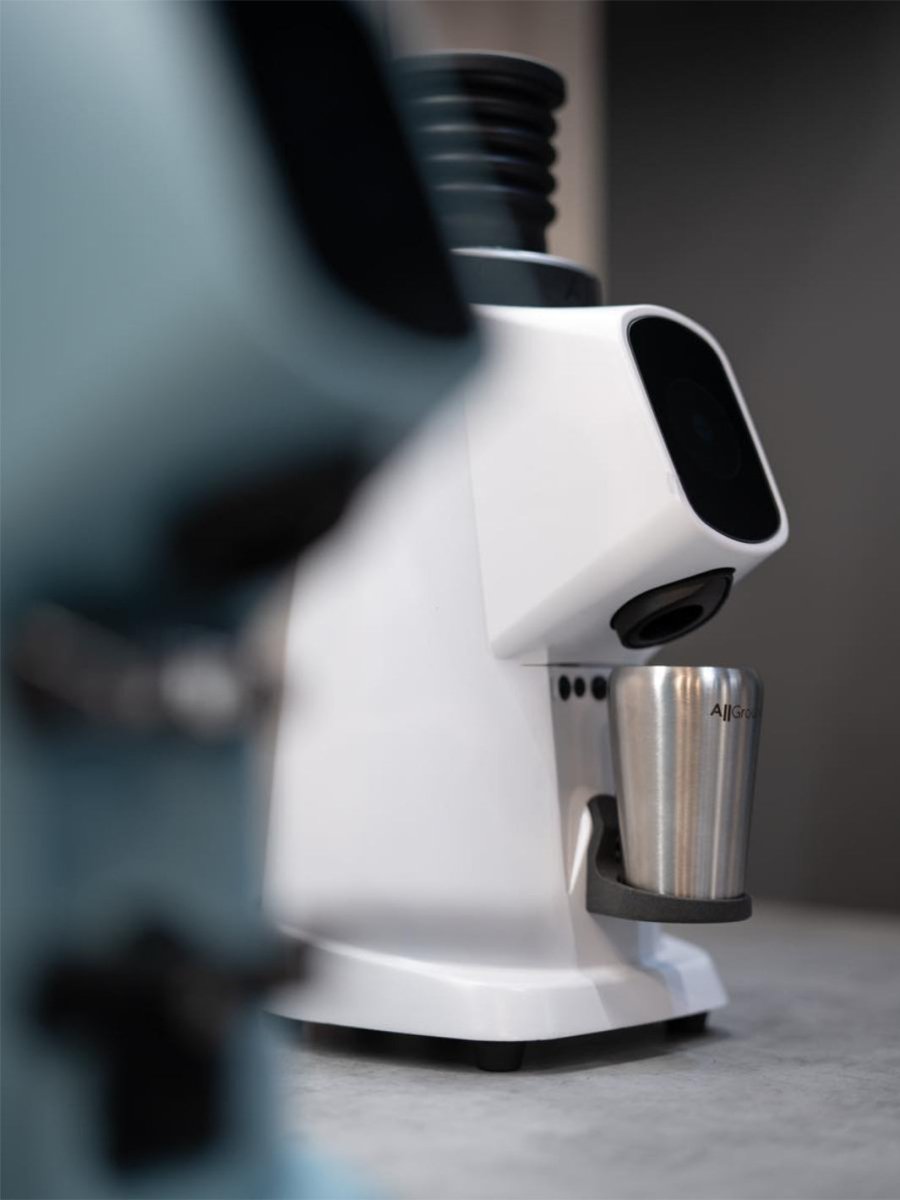 FIORENZATO AllGround ProBrew Coffee Grinder (120V) - Uai Coffee
