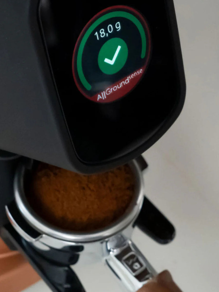 FIORENZATO AllGround Sense Coffee Grinder (120V) - Uai Coffee