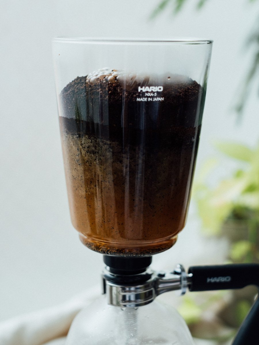 HARIO NEXT Syphon Brewer - Uai Coffee
