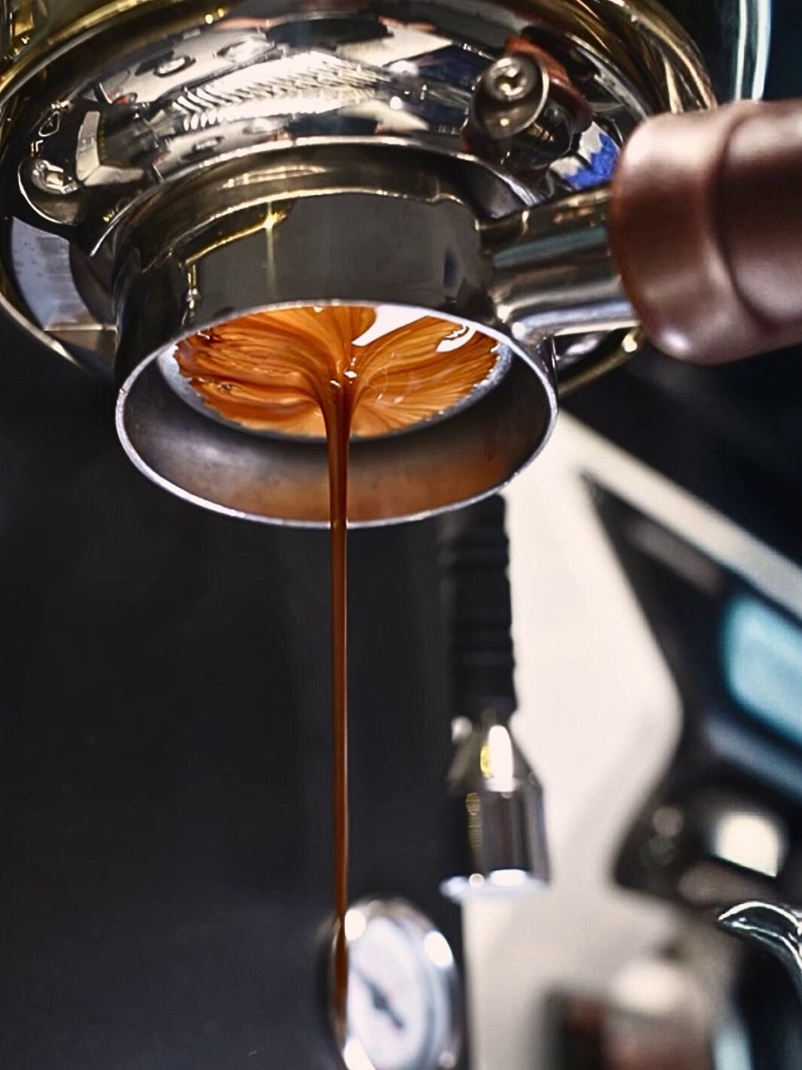 WENDOUGEE Data S Espresso Machine (120) - Uai Coffee