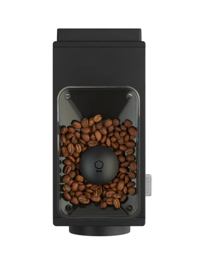 FELLOW Ode Brew Grinder (Gen 2.0) (120V) - Uai Coffee