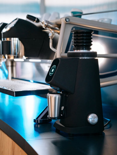 FIORENZATO AllGround ProBrew Coffee Grinder (120V) - Uai Coffee
