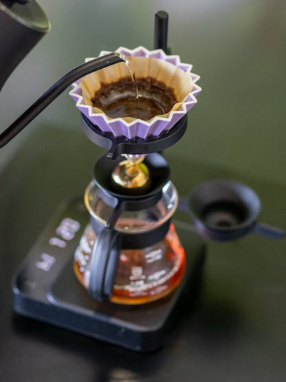 NUCLEUS Paragon (V2) - Uai Coffee