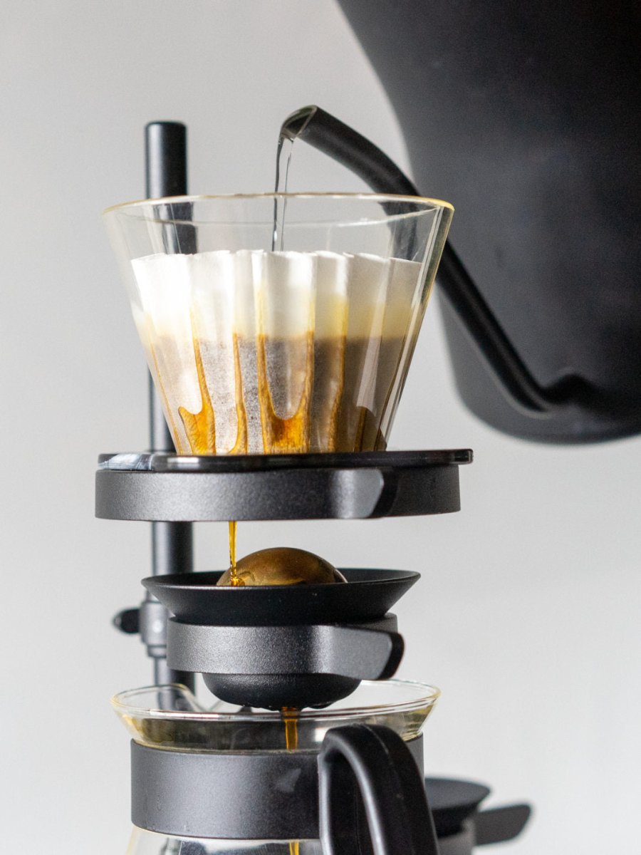 NUCLEUS Paragon (V2) - Uai Coffee